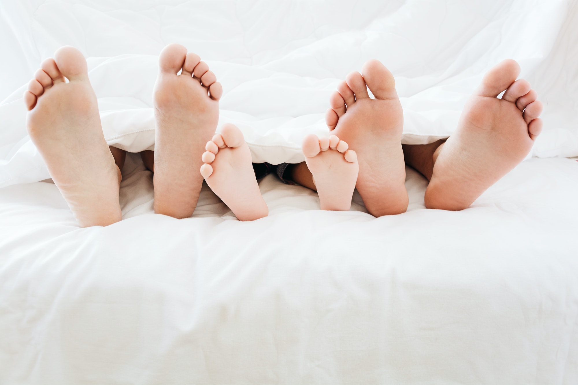 Family feet - Newsletters
