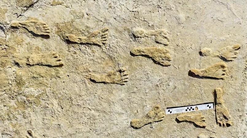 In Praise of Podiatry